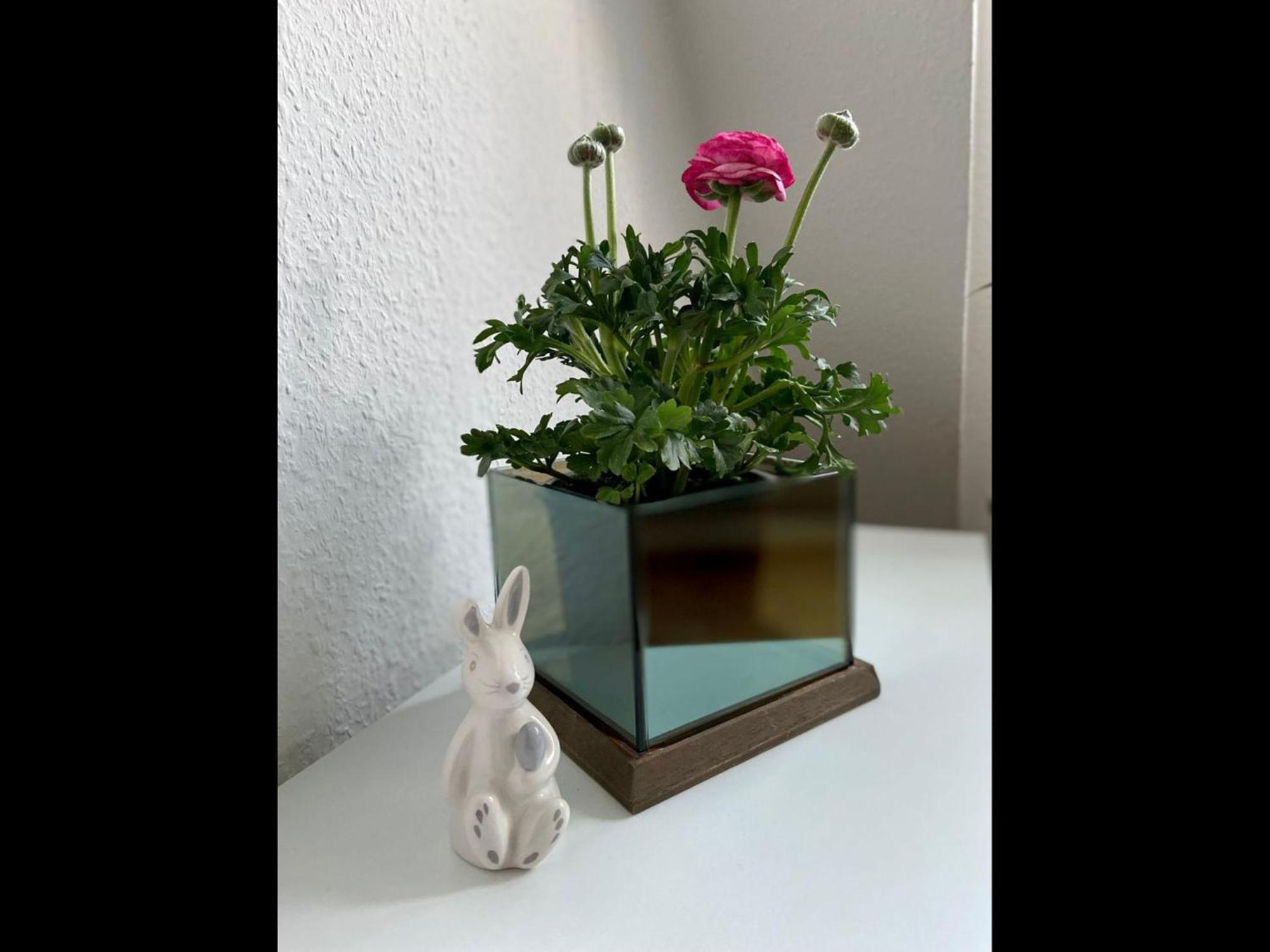 Neu Apartment